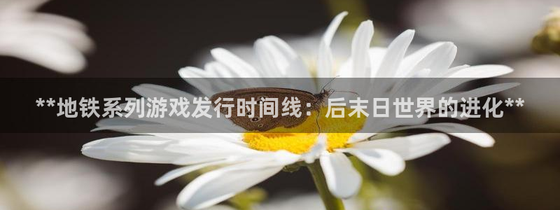 顺盈娱乐官网首页网址查询：**地铁系列游戏发行时间线：后末日世界的进化**