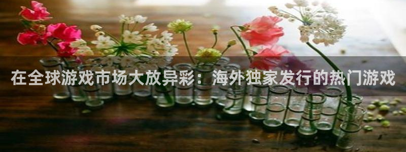 顺盈娱乐平台提现被关闭怎么回事呀：在全球游戏市场大放异彩：海外独家发行的热门游戏