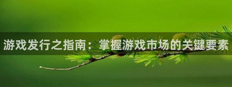顺盈商贸有限公司：游戏发行之指南：掌握游戏市场的关键要素