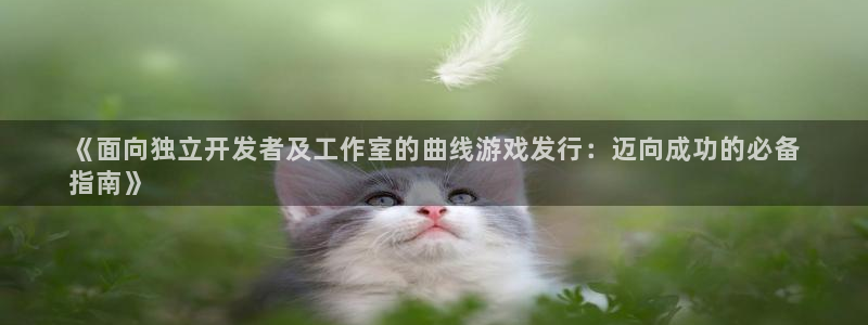 顺盈娱乐公司介绍怎么写啊：《面向独立开发者及工作室的曲线游戏发行：迈向成功的必备
指南》