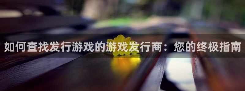 顺盈娱乐平台注册流程视频教程：如何查找发行游戏的游戏发行商：您的终极指南