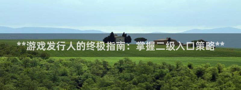 顺盈平台注册开户要钱吗：**游戏发行人的终极指南：掌握二级入口策略**