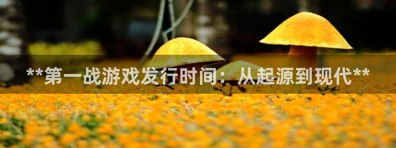 顺盈平台注册资金多少合适：**第一战游戏发行时间：从起源到现代**