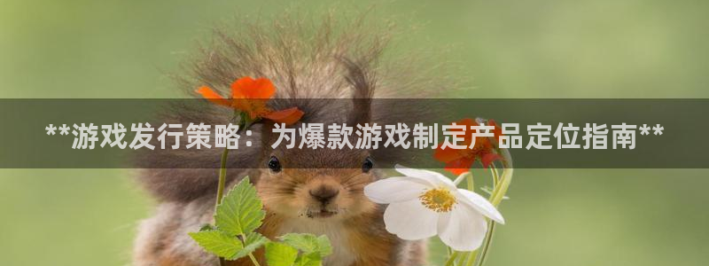 顺盈平台注册开户：**游戏发行策略：为爆款游戏制定产品定位指南**