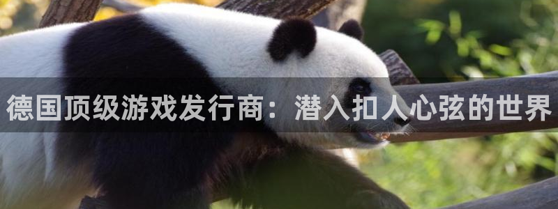 顺盈平台登陆：德国顶级游戏发行商：潜入扣人心弦的世界