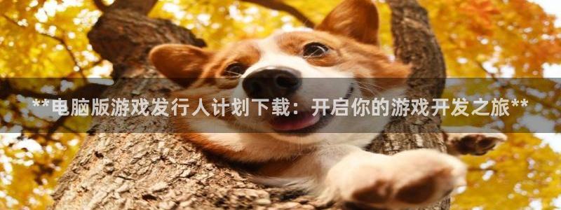 顺盈平台注册资金多少亿：**电脑版游戏发行人计划下载：开启你的游戏开发之旅**