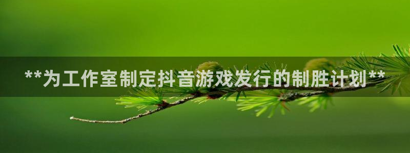 顺盈平台登录入口：**为工作室制定抖音游戏发行的制胜计划**