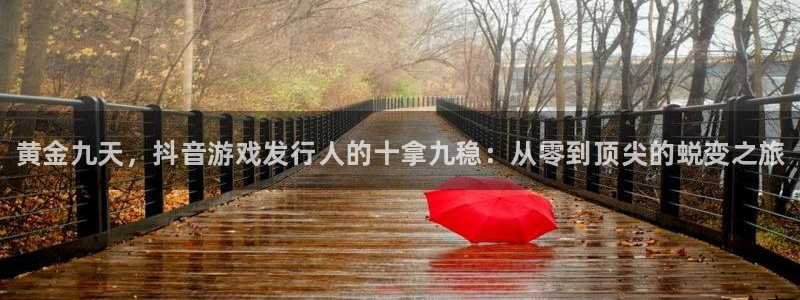 顺盈娱乐登录平台是什么意思呀：黄金九天，抖音游戏发行人的十拿九稳：从零到顶尖的蜕变之旅