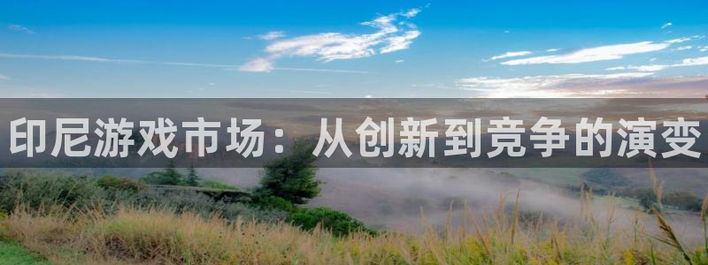 顺盈娱乐平台最新活动时间：印尼游戏市场：从创新到竞争的演变