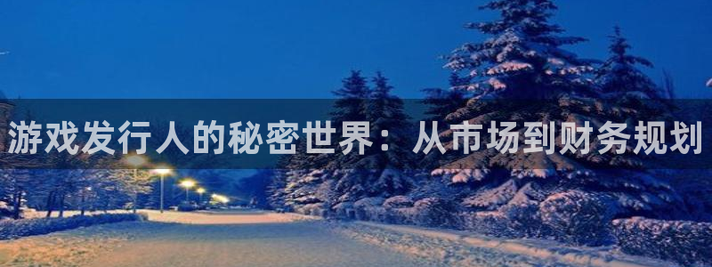 顺赢网络科技有限公司