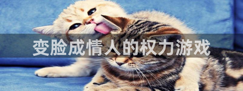 顺盈娱乐平台注册流程视频