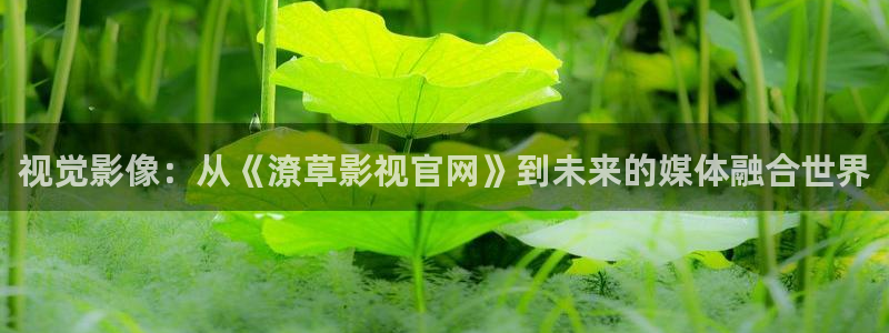 羞羞影院日韩：视觉影像：从《潦草影视官网》到未来的媒体融合世界