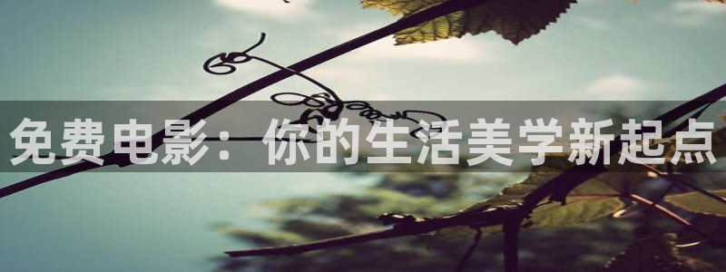 羞羞影院啵啵影院：免费电影：你的生活美学新起点