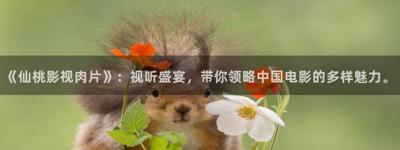 在线观看羞羞影院：《仙桃影视肉片》：视听盛宴，带你领略中国电影的多样魅力。