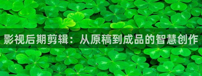 羞羞影院欧美：影视后期剪辑：从原稿到成品的智慧创作