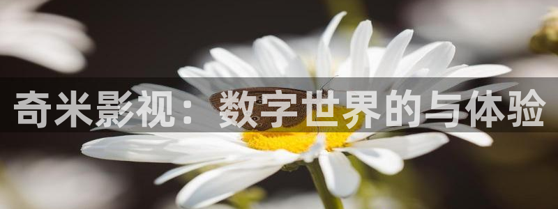 羞羞影院在线看片：奇米影视：数字世界的与体验
