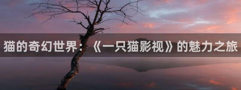 羞羞影院色：猫的奇幻世界：《一只猫影视》的魅力之旅