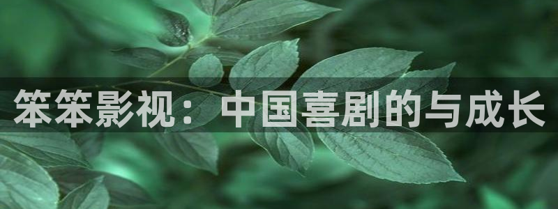 羞羞影院首页：笨笨影视：中国喜剧的与成长