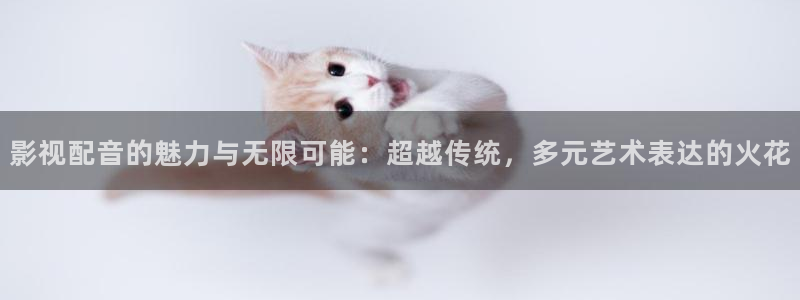 羞羞影视免费：影视配音的魅力与无限可能：超越传统，多元艺术表达的火花