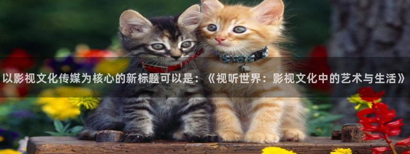 羞羞影院午夜男女爽爽影院：以影视文化传媒为核心的新标题可以是：《视听世界：影视文化中的艺术与生活》