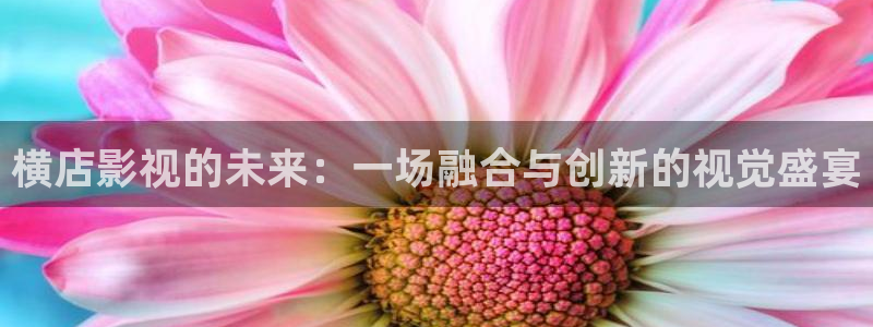 免费羞羞影院：横店影视的未来：一场融合与创新的视觉盛宴